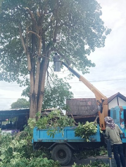 ตัดแต่งต้นไม้หน้าโรงเรียนบ้านวังสิงห์