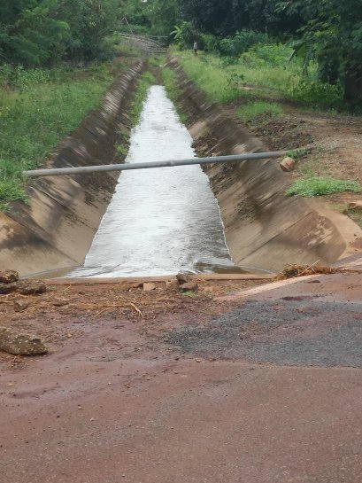 สถิติการให้บริการด้านการเกษตร ตำบลสิงห์ ประจำปี 2562
