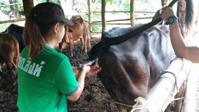 โครงการส่งเสริมและป้องกันโรคระบาดในสัตว์เลี้ยง ประจำปี ๒๕๖๒