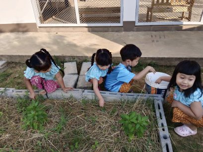 กิจกรรมพืชผักสวนครัว