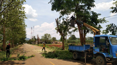 กิจกรรมตัดกิ่งไม้และปรับปรุงภูมิทัศน์สองข้างทาง