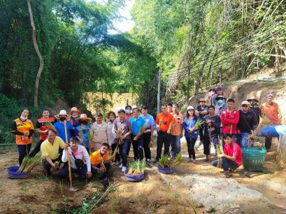 โครงการปลูกหญ้าแฝกตามพระราชดำริ ประจำปี 2563