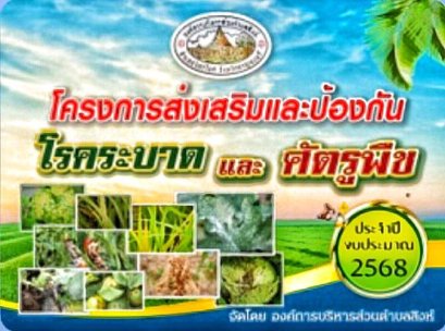 โครงการส่งเสริมและป้องกันศัตรูพืช ประจำปี 2568