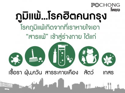 ภูมิแพ้ โรคฮิตคนกรุง