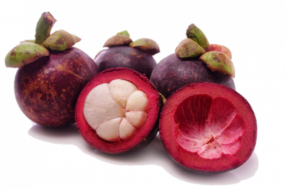 มังคุด ราชินีแห่งผลไม้ของไทย