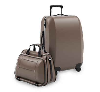Brown Baggage