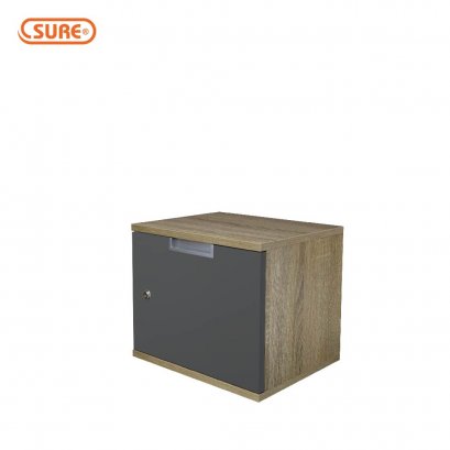 Safe cabinet CES-01M