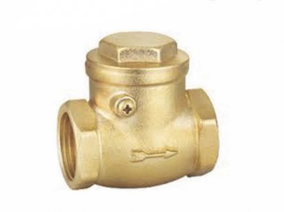 ARITA Brass Swing Check Valve, BSPT, Class 200 PSI