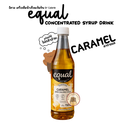 Equal Syrup Caramel 0% Calorie Concentrated Caramel Flavor syrup Drink