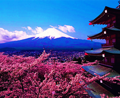 ฤดูกาลทั้ง 4 ซึ่งนำความบันเทิงมาสู่ชุมชนตลอดปี