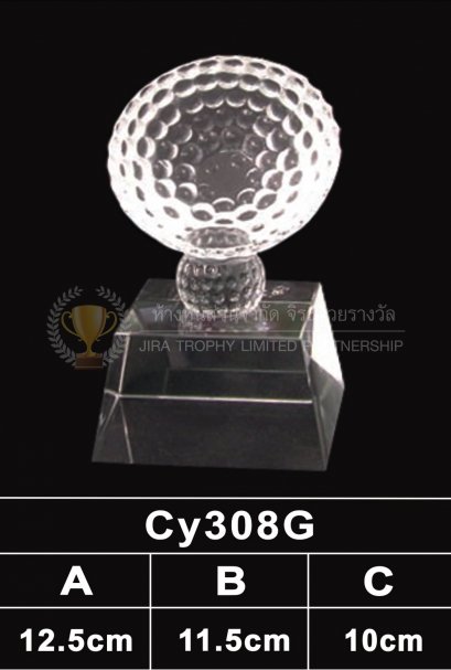 ถ้วยรางวัลคริสตัล CY308G