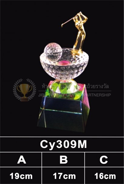 ถ้วยรางวัลคริสตัล CY309M