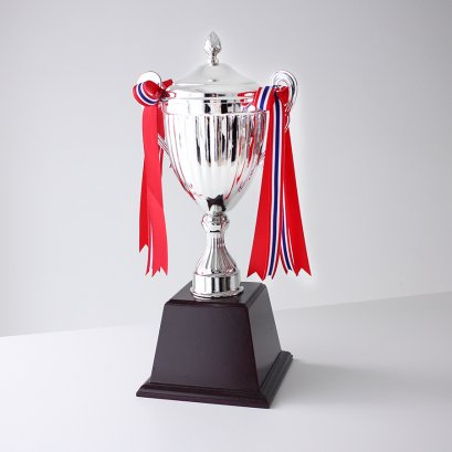 ถ้วยรางวัลอิตาลี T-004