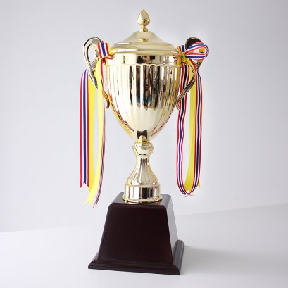 ถ้วยรางวัลอิตาลี T-005