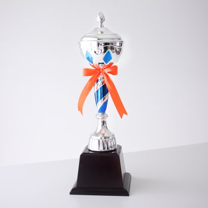 ถ้วยรางวัลอิตาลี T-007