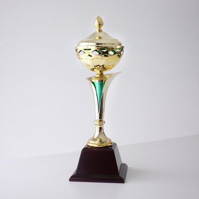 ถ้วยรางวัลอิตาลี T-008