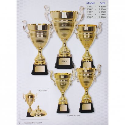 ถ้วยรางวัลอิตาลี IT-007