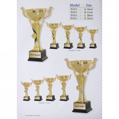 ถ้วยรางวัลอิตาลี IT-011