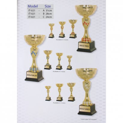 ถ้วยรางวัลอิตาลี IT-021