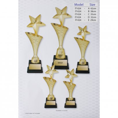 ถ้วยรางวัลอิตาลี IT-024