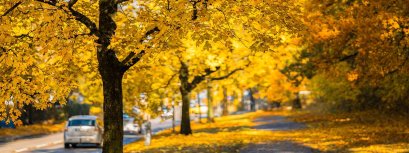 ตกหลุมรักสีเหลือง มาดูทางจิตวิทยาหมายความว่าอะไร