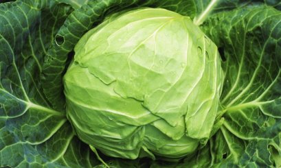 ผัก 10 ชนิดที่พบ "ยาฆ่าแมลง" ตกค้างสูงที่สุด