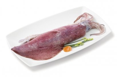 The short sleeves youngster Star