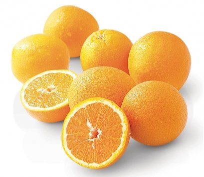 The short sleeves youngster Star