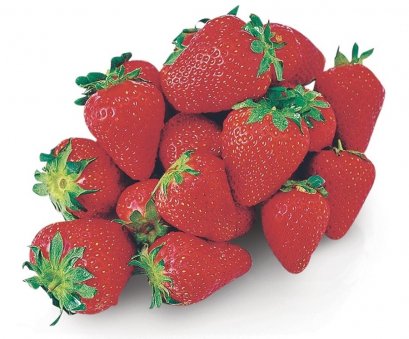 The short sleeves youngster Star