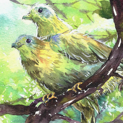 (Discontinued) Yellow-Footed Green Pigeon (50 ml.)