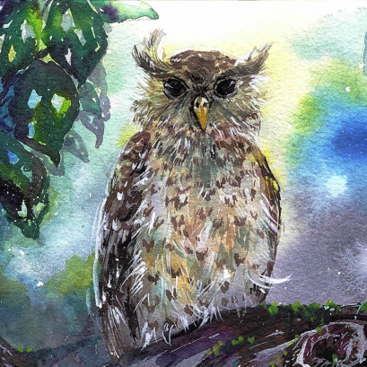 Barred Eagle Owl (50 ml.)
