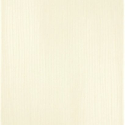 WT 8x12 แคโรไลน์ ไอวอรี่ PM