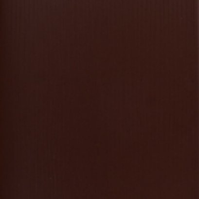 WT 8x12 แคโรไลน์ น้ำตาล PM