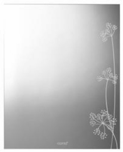 กระจกเงาพ่นทราย 400 x 500 มม. COTTO ME103