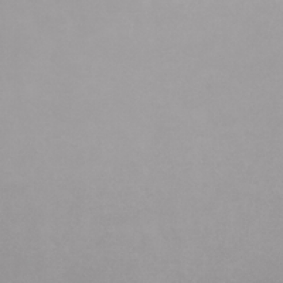 FT 12x12 วิลลี่ (II) เทาอ่อน PM