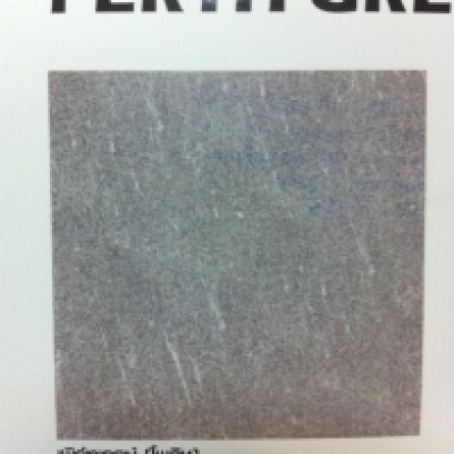 60*60 กระเบื้องดูราเกรส เพิร์ทเกรย์(โพลิช) A
