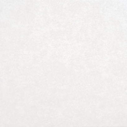 FT 12x12 วิลลี่ (II) โบน PM