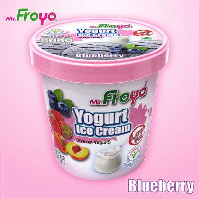 Mr.Froyo Yogurt Ice Cream (BLUEBERRY)
