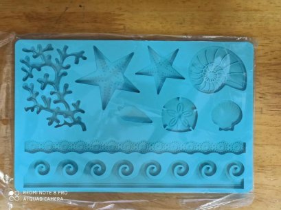 ซิลิโคนโมลรูปเปลือกหอยและปะการัง