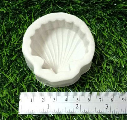 ซิลิโคนโมลรูปหอยเชลล์