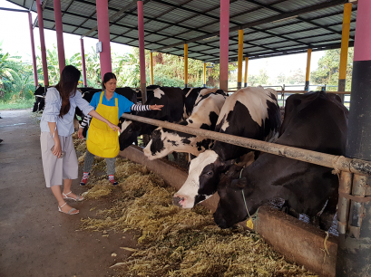 กรรมวิธีการผลิต #002 เราใช้ของแท้ ในการผลิตไอศครีมทุกอย่าง เพื่อทำให้ลูกค้าทุกท่านมีความสุข 17.10.61