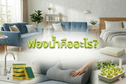 ฟองน้ำคืออะไร?