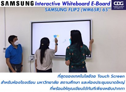 Samsung Flip 2 (WM65R)