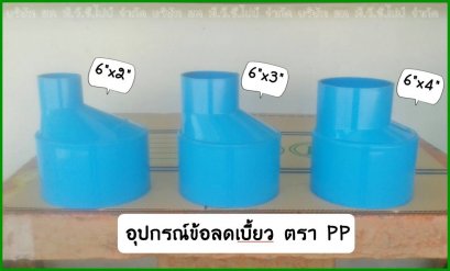    ข้อลดเบี้ยว บาง   Pp