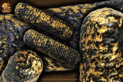 ตะกรุดสาริกาหลวงพ่อเต๋