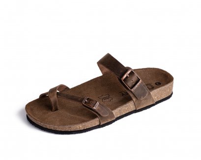 Alesso สีน้ำตาล