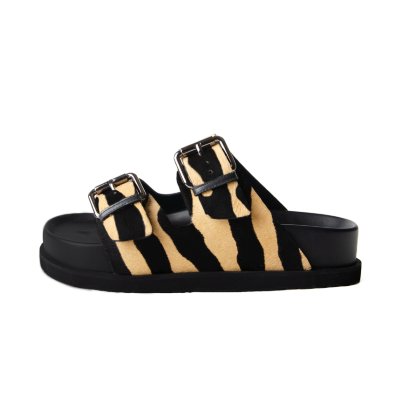 Simon Zebra
