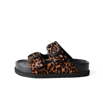 Simon Leopard