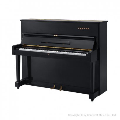 YAMAHA U-1D