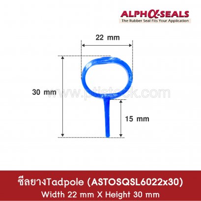 ซีลยางซิลิโคน Tadpole Section  ASTOSQSL6022x30